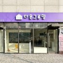 다온애견미용 | 홍대 애견미용 / 다온그루밍 / 후기 리뷰