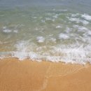 주식회사 스텝스인 이미지