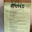 루티드(Rooted) 이미지