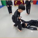 화랑합기도 특공무술 이미지