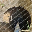 영산로 535번길 이미지