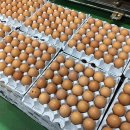 나린농장 이미지