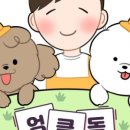 엉클독 애견유치원 이미지