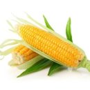 석전한의원 이미지