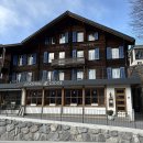 마운틴 | 스위스 그린델발트 가성비 숙소, 융프라우 로지 마운틴 호텔 후기