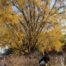 주주클럽 이미지