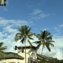 진영 패션 아울렛 거리 | 하와이 쇼핑리스트 와이켈레아울렛 폴로, 타미, 토리버치, 코치, 카터스 쇼핑 후기(폴로 쿠폰 받는 방법)