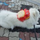 백곰세차장 네이버블로그