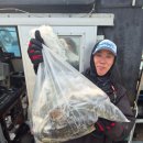 씨엔텔 민박 이미지