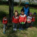 운천초병설유치원 이미지