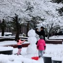 Snow County 이미지