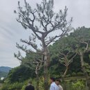 (주)유다담