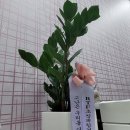 알티에프컴퍼니
