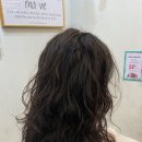 플랜헤어 이미지