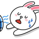해동유도관 이미지