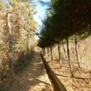 진밭입구 이미지