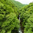 세계 테마기행(아프리카) 이미지