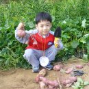 정명농장 이미지