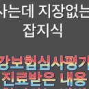 금일건강약국 이미지