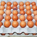 마이산진안촌 - 전주시 덕진구 동가재미1길 24 | 마이산진안촌
