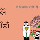 보라월드프라자 이미지