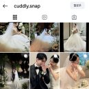 26년 하반기 Cuddly snap 커들리스냅 계약후기(짝꿍구함)