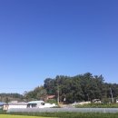[농가주택]귀촌 1번지 청양 동강오토캠프장 앞 마을 농가주택(방갈로포함) 전세 이미지