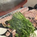 나인독스 이미지