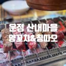 [파주맛집] 운정 산내마을 양꼬치&amp;칭따오 후기