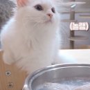 ㅏㅏㅓ 이미지