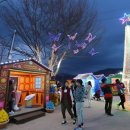 프로방스 포토랜드 | 🌿 청도 프로방스 포토랜드 여행기 ✨ 별빛이 머무는 동화 같은 하루