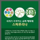 스피나월드