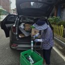 28일)여주시청 주변 청심로 (하동)국기깃대설치,국기게양 이미지