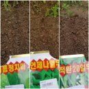 열매열무2 이미지