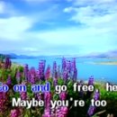 7080 골드팝송 이미지