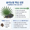 (단기) 메타버스 이해와 활용(야간) | 솔리논필 효능 후기 복용법 부작용 가격까지 총정리