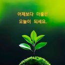 5해피