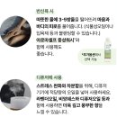약국 1위 프라나롬 / 입술 각질 추천템 ! 오일 후기- 아로마테라피 제품 추천 / 유튜브 안소희 추천...