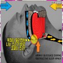 에스앤비한의원 이미지