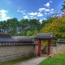 세계유산 도산서원, 영남 유학의 성지와 500년 학문의 숲
