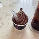 담양 대형카페 [버트(Bert)] 예뻐서 추천! 애견동반,내돈내산