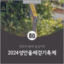 제주의 봄 즐길거리 성안올레 걷기축제 1코스 후기