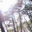 풍호농장 이미지