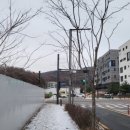 유일프라자약국 이미지