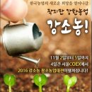 코너농산물가공