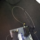 애니카랜드연동점 이미지