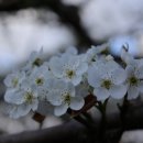 덕진마을 이미지