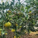 복기농장 이미지