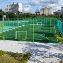 양양군 종합운동장 이미지