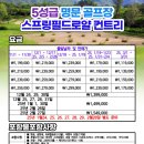 주식회사 스프링필드 네이버블로그